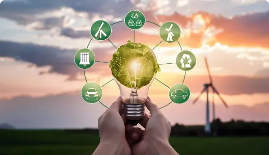 Practical Tips for Homeowners :